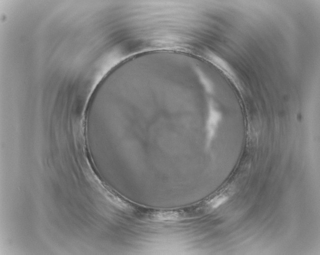 X0000057091291200510071901