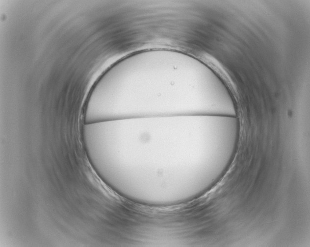 X0000057091292200510071901