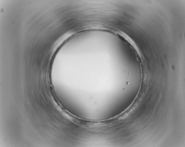 X0000057091293200510071901