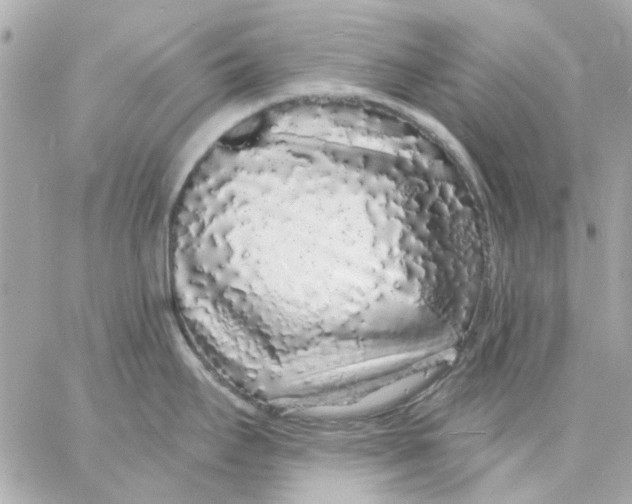 X0000057091295200510071901