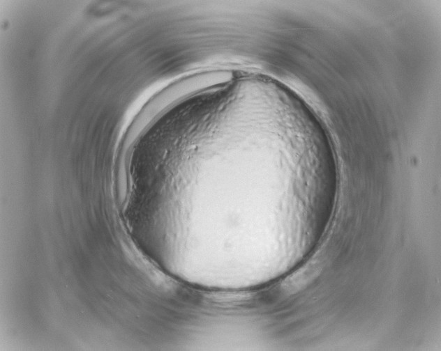 X0000057091296200510071901