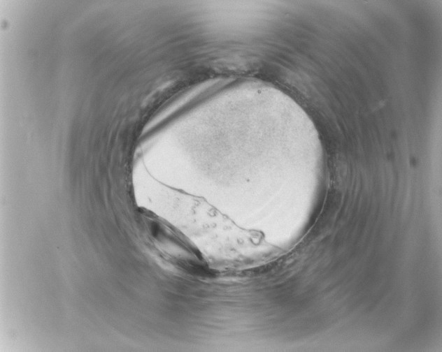 X0000057091297200510071900