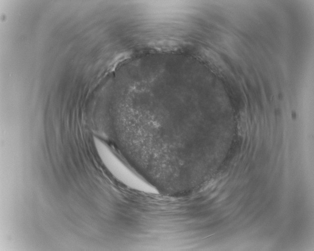 X0000057091298200510071900