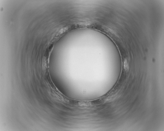 X0000057091299200510071900