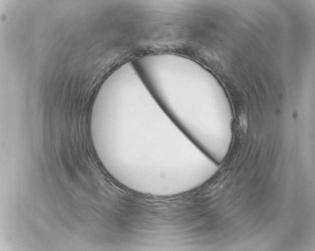 X0000057091300200510071900