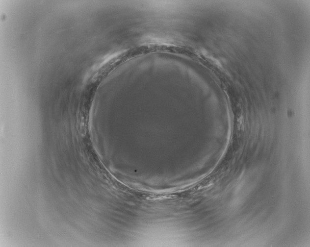 X0000057091303200510071900