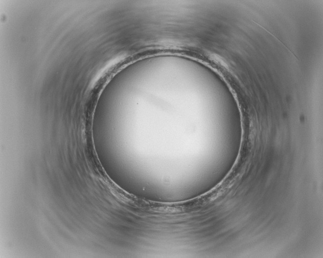 X0000057091307200510071901