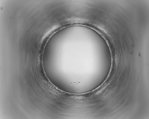 X0000057091309200510071901