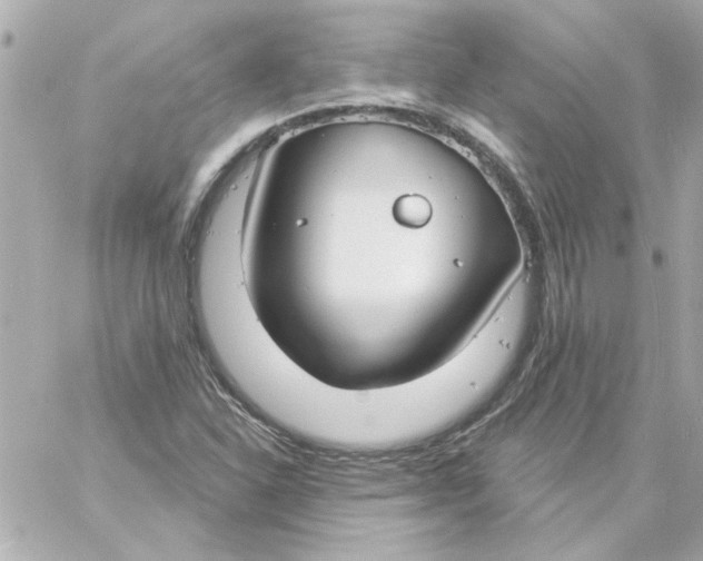 X0000057091310200510071901