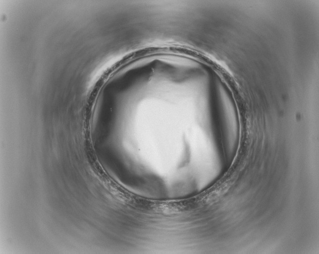 X0000057091311200510071901