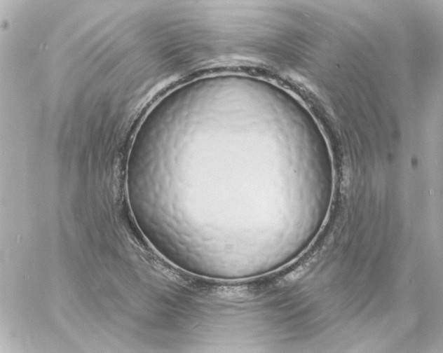 X0000057091313200510071901