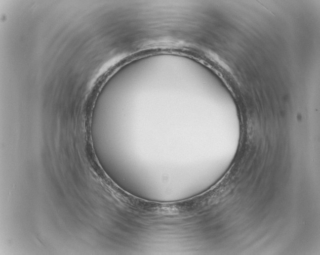 X0000057091315200510071901