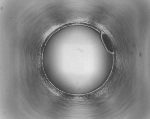 X0000057091316200510071901