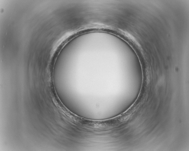 X0000057091318200510071901