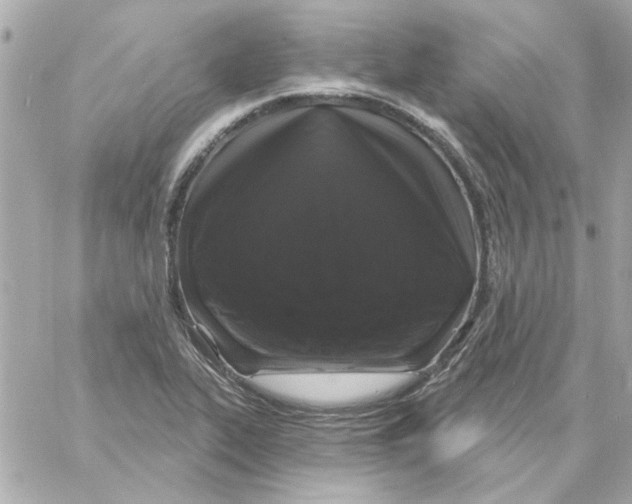 X0000057091319200510071901