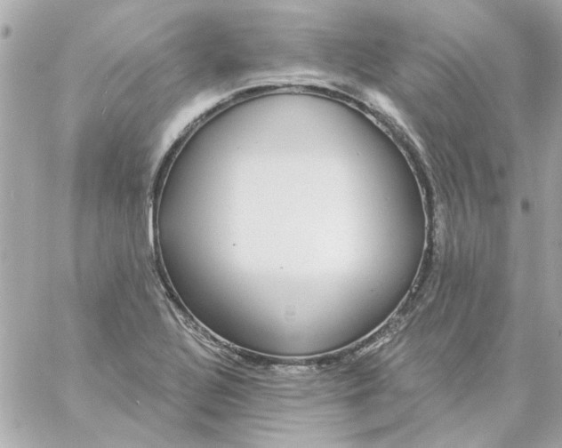 X0000057091320200510071901