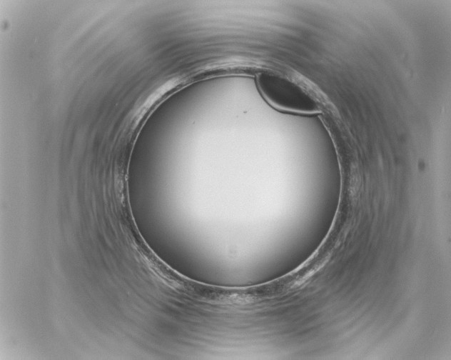 X0000057091321200510071901