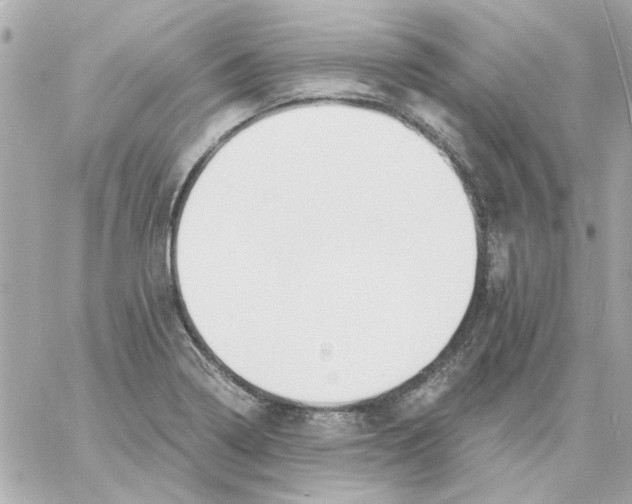 X0000057091322200510071901