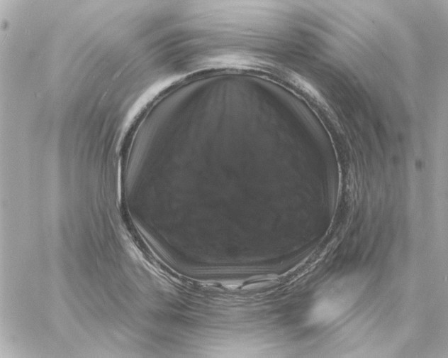 X0000057091323200510071901