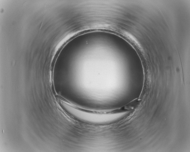 X0000057091324200510071901