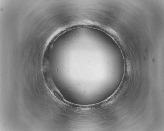 X0000057091326200510071901