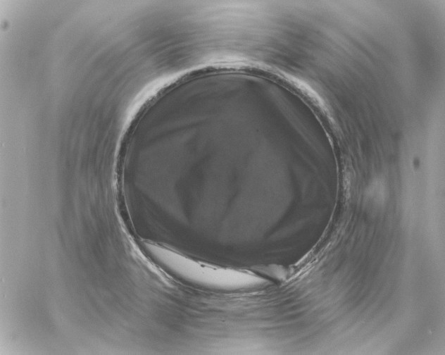 X0000057091327200510071901