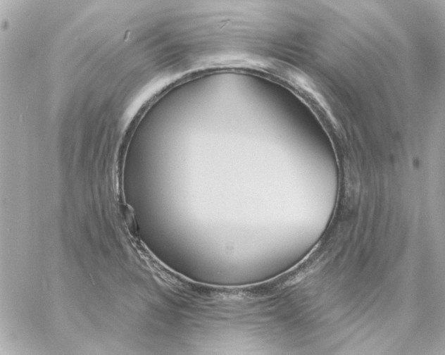 X0000057091328200510071901