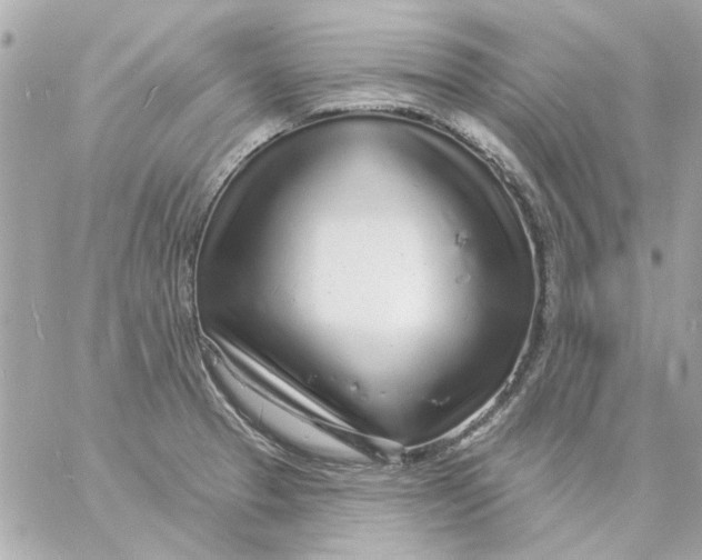 X0000057091329200510071901