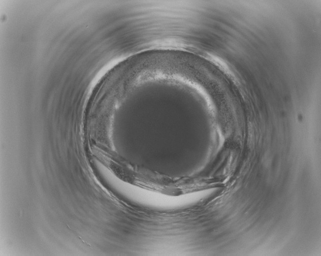 X0000057091331200510071901