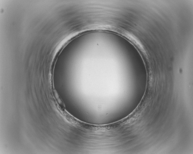 X0000057091332200510071901