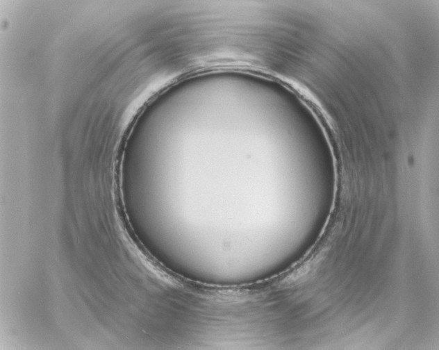 X0000057091333200510071901