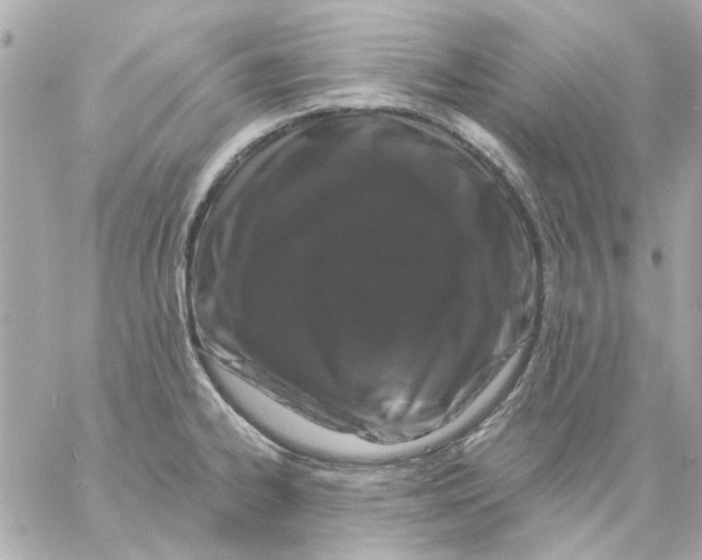 X0000057091334200510071901