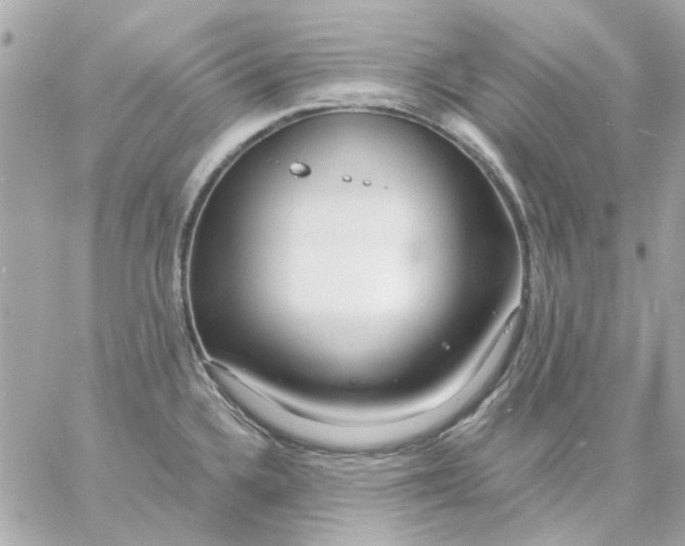 X0000057091336200510071901