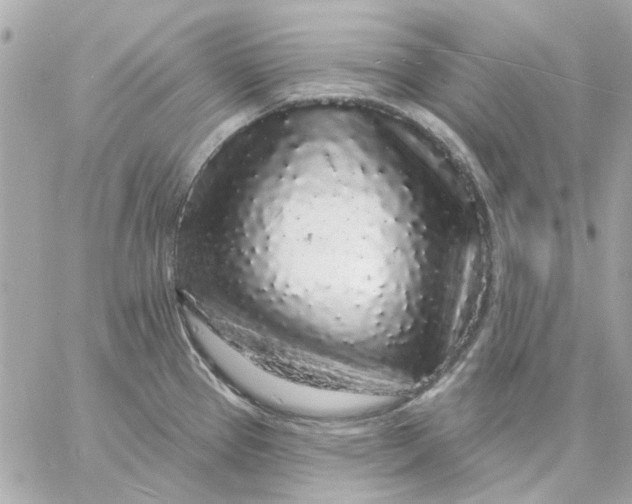 X0000057091337200510071901