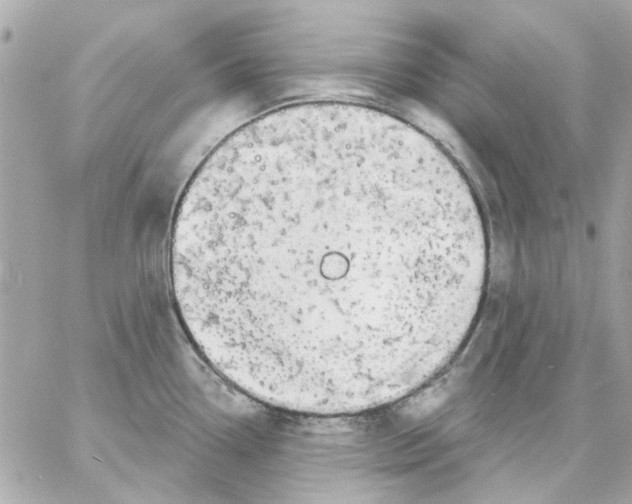 X0000057091338200510071901