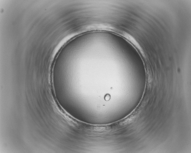 X0000057091339200510071901