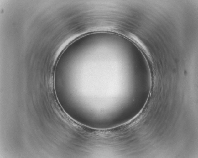 X0000057091340200510071901