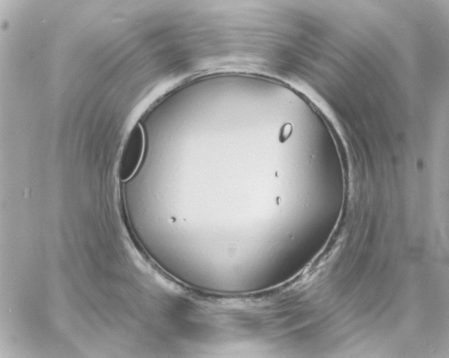 X0000057091341200510071901