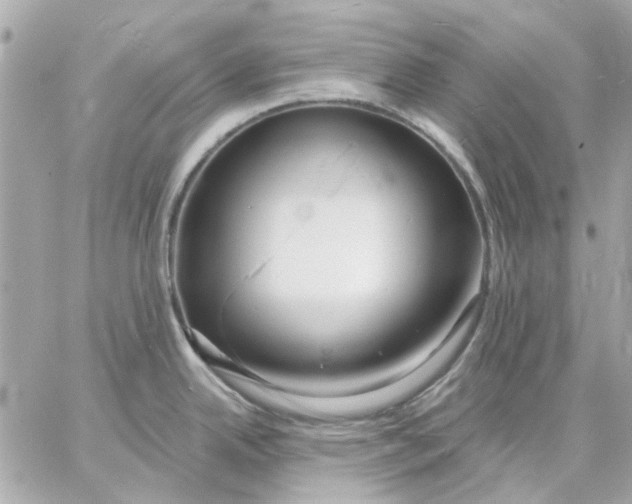 X0000057091342200510071901