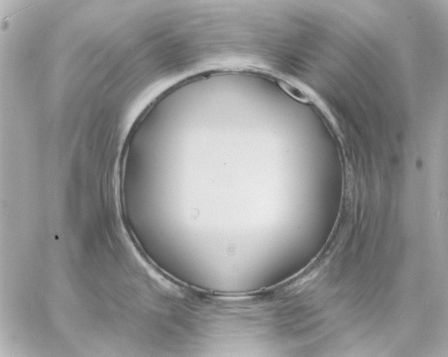 X0000057091343200510071901