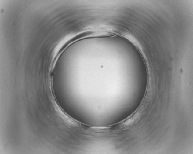 X0000057091344200510071901