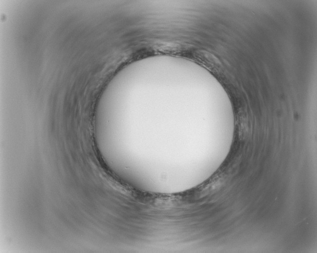 X0000057091345200510071900