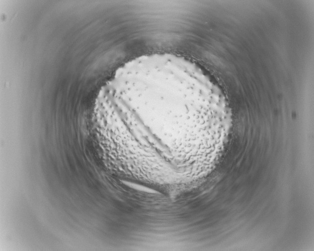 X0000057091346200510071900