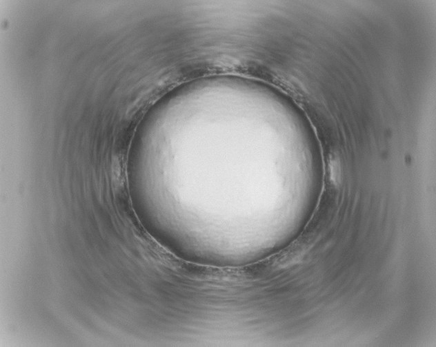 X0000057091347200510071900