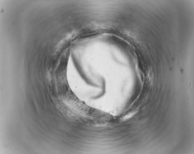 X0000057091348200510071900