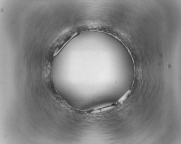 X0000057091349200510071900