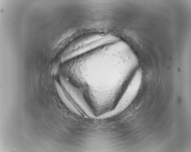 X0000057091350200510071900