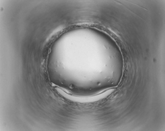 X0000057091351200510071900