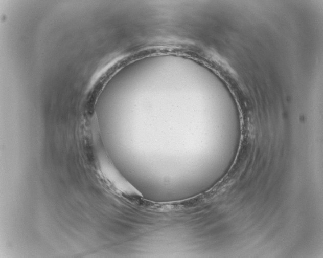 X0000057091352200510071900