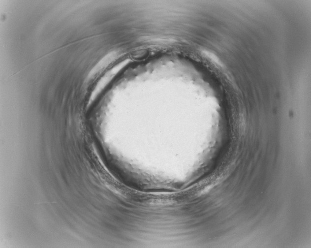 X0000057091354200510071900